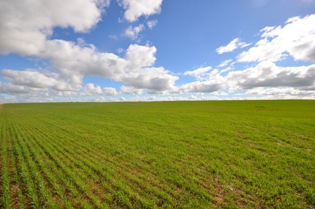 3 Lots, BURRA, SA 5417