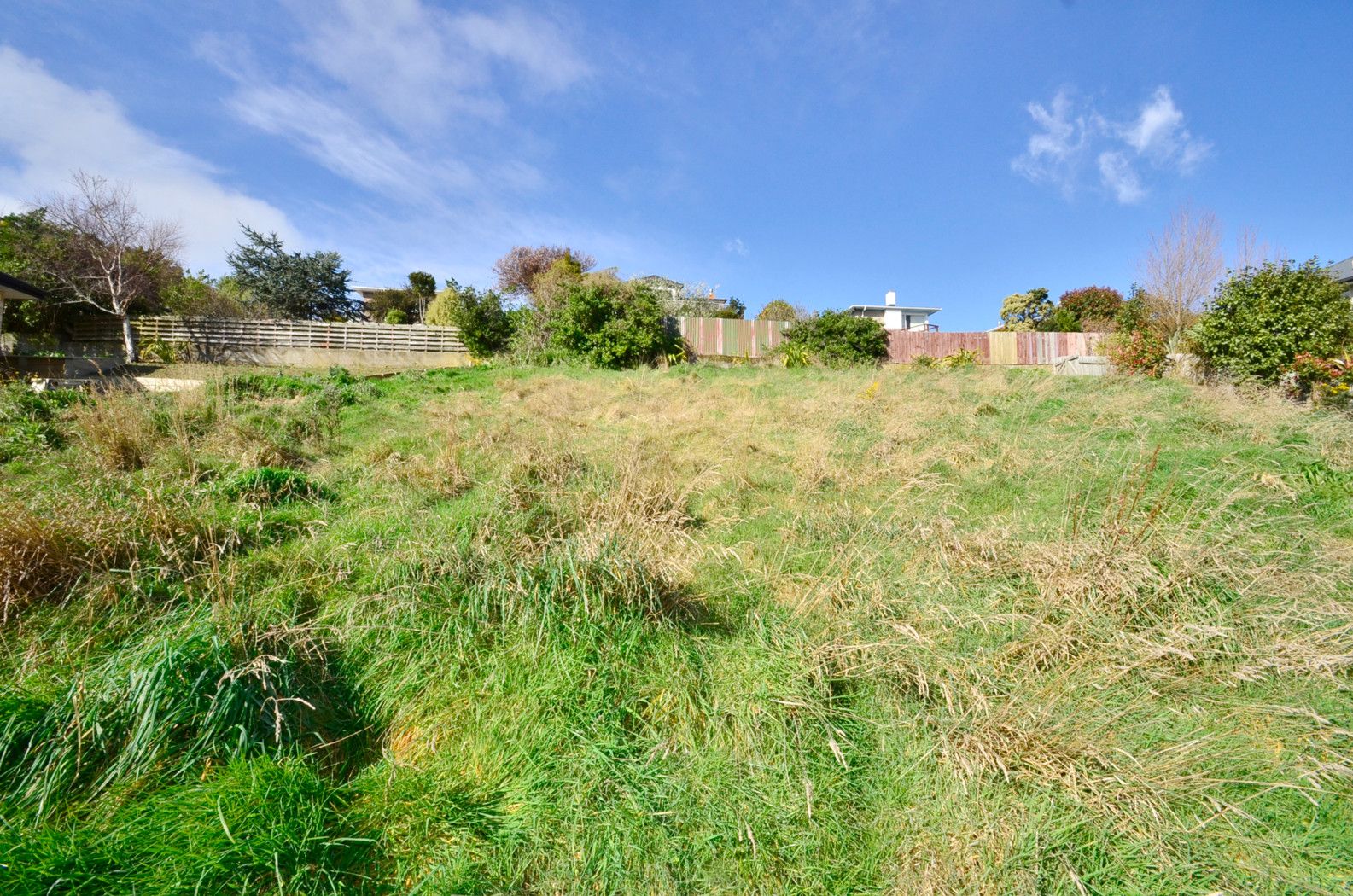 208 Somerville Street, SHIEL HILL, Dunedin City