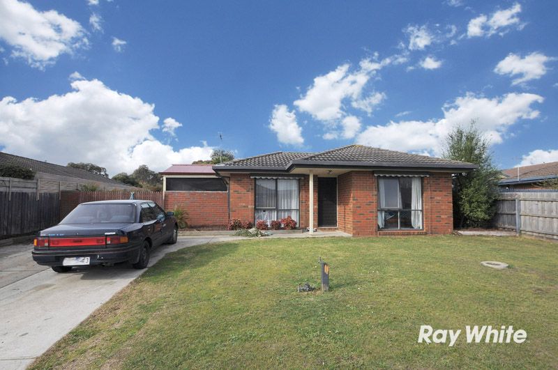 25 Maculata Drive, CRANBOURNE WEST, VIC 3977