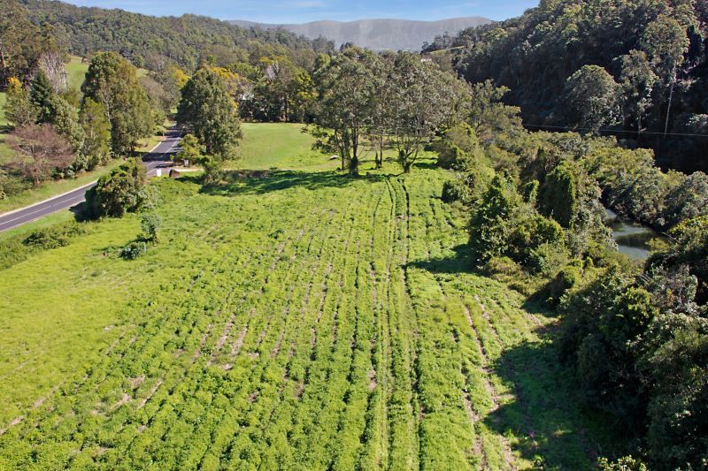 1282 Tyalgum Road, TYALGUM NSW 2484