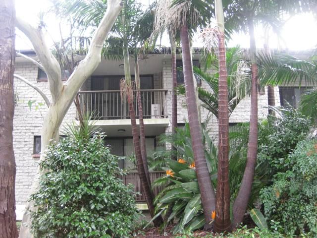 13/211-213 Waterloo Road, MARSFIELD, NSW 2122
