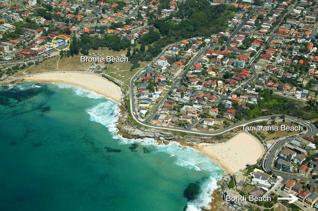 1/467 Bronte Road, BRONTE, NSW 2024