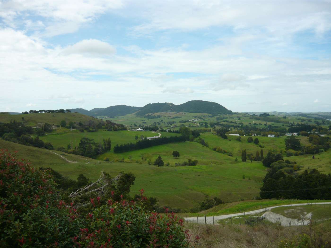 MAUNGATUROTO  Kaipara District  0520 photo 2