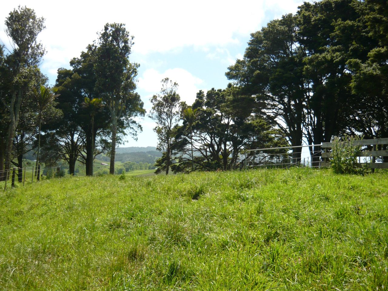 MAUNGATUROTO, Kaipara District