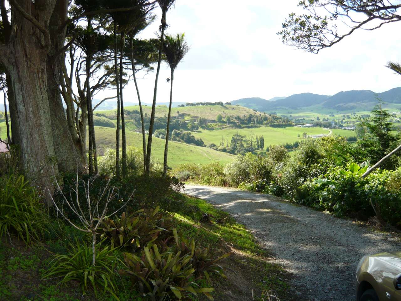 MAUNGATUROTO  Kaipara District  0520 photo 4