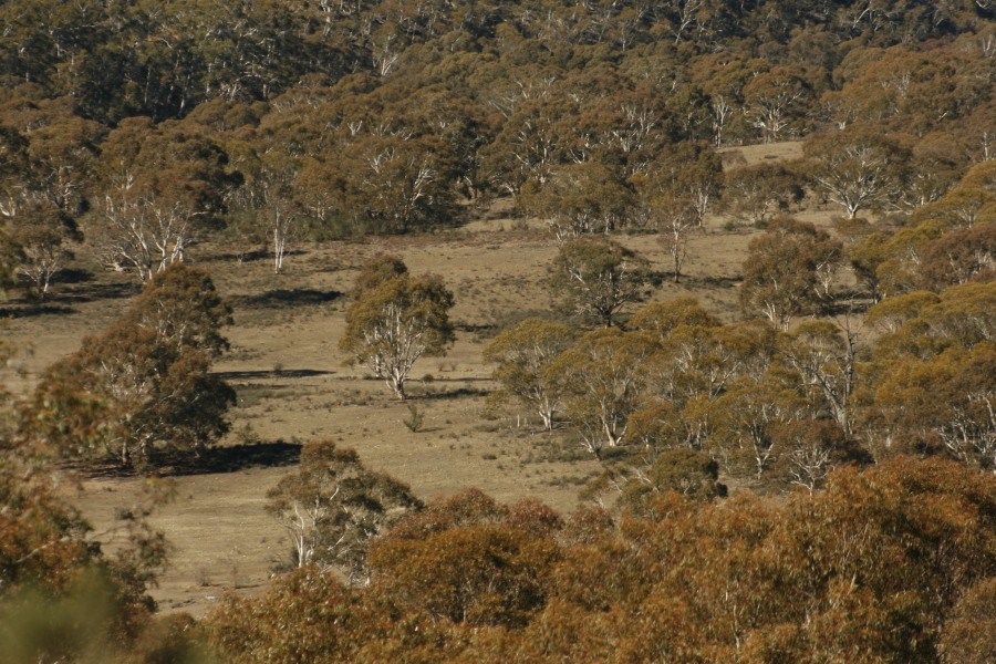Lot 158 Dangelong Road, COOMA, NSW 2630