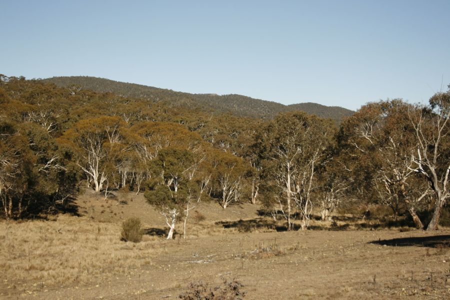 Lot 1 Dangelong Road, COOMA, NSW 2630