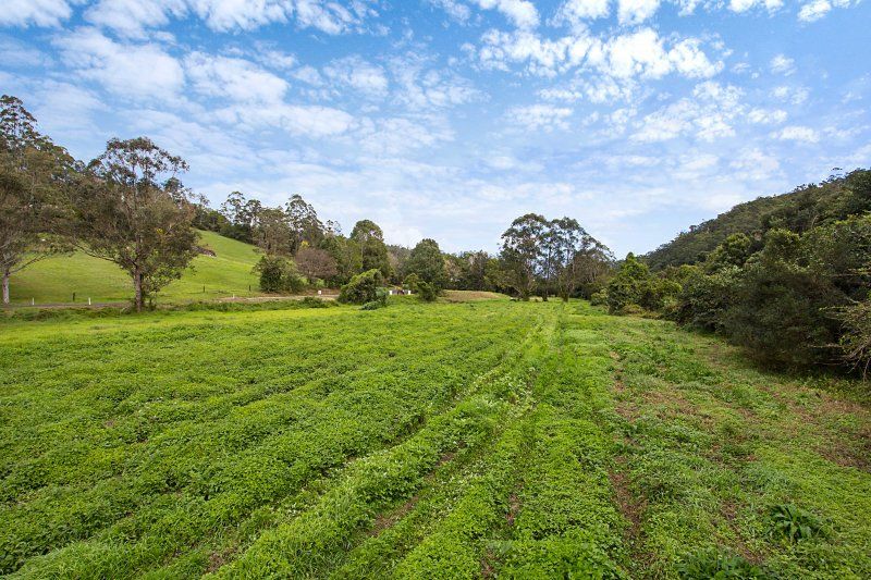 1282 Tyalgum Road, TYALGUM, NSW 2484