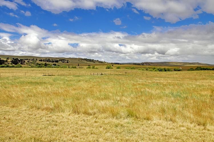 1494 Gurrundah Road, GOULBURN, NSW 2580