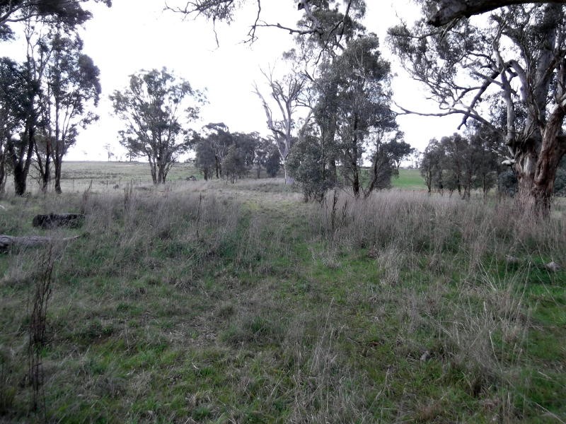 2610 Murringo Road, MURRINGO, NSW 2586