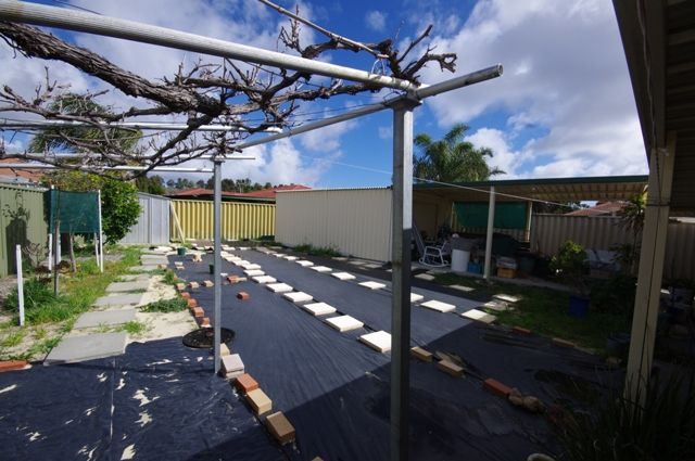 14 Caffrum Green, MIRRABOOKA, WA 6061