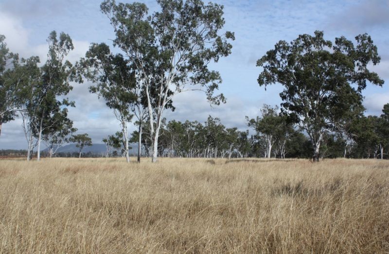 DYSART, QLD 4745
