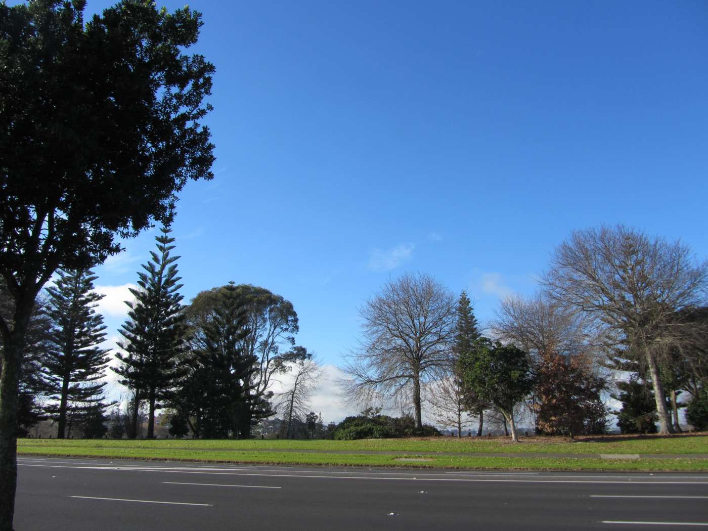 1/320 Pakuranga Road photo 7