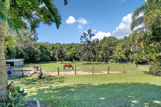KURANDA, QLD 4881