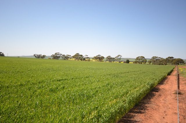 Lot 2 Stock Route Road, POINT PASS, SA 5374