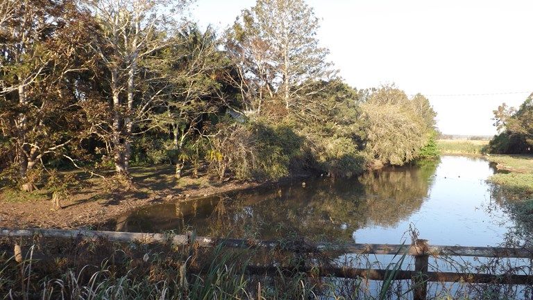 219 Middle Road, PALMERS ISLAND, NSW 2463