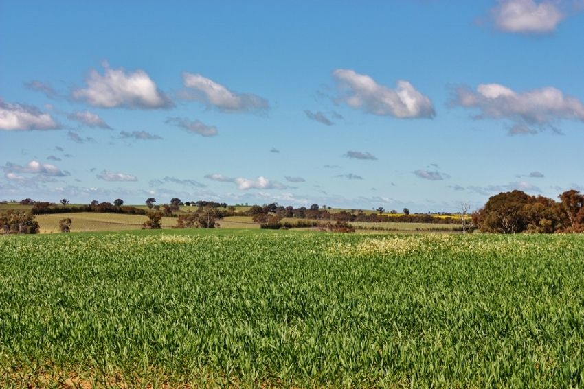 Lot 94 Boundary Road, YOUNG, NSW 2594