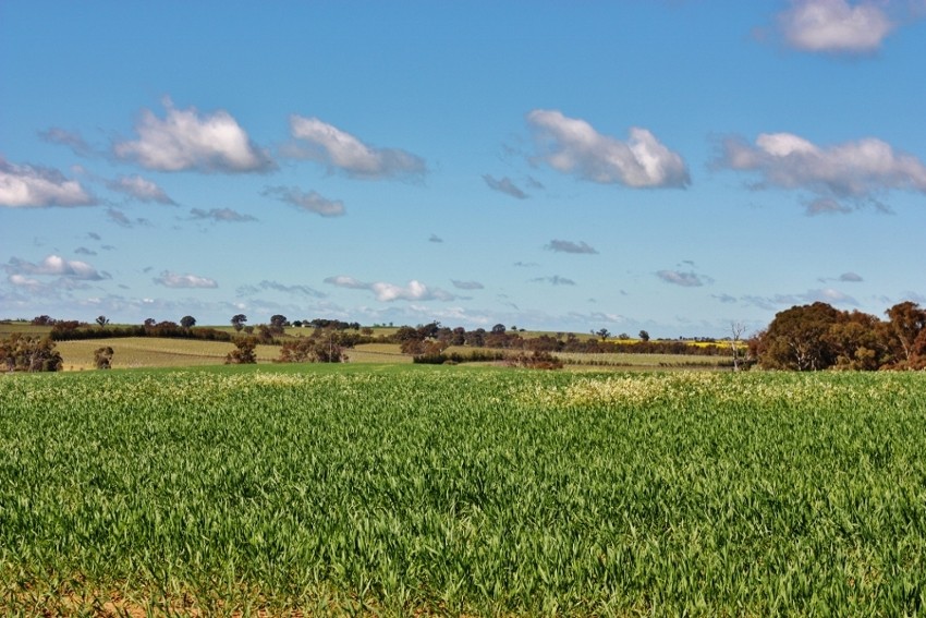 Lot 94 Boundary Road, YOUNG, NSW 2594