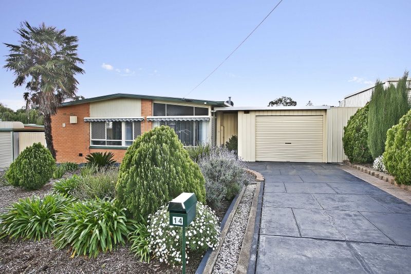 14 Darrang Avenue, INGLE FARM SA 5098