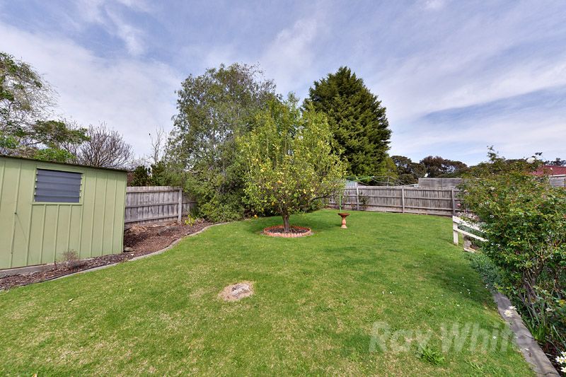 9 Baldwin Avenue, BORONIA, VIC 3155