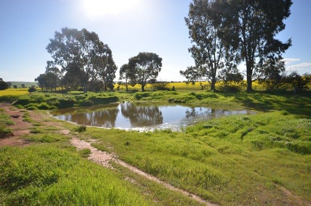 Lallys Road, HILL RIVER, SA 5453
