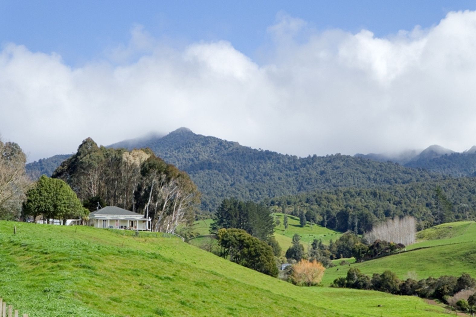 144 Grey Road, Te Pahu, Waipa District