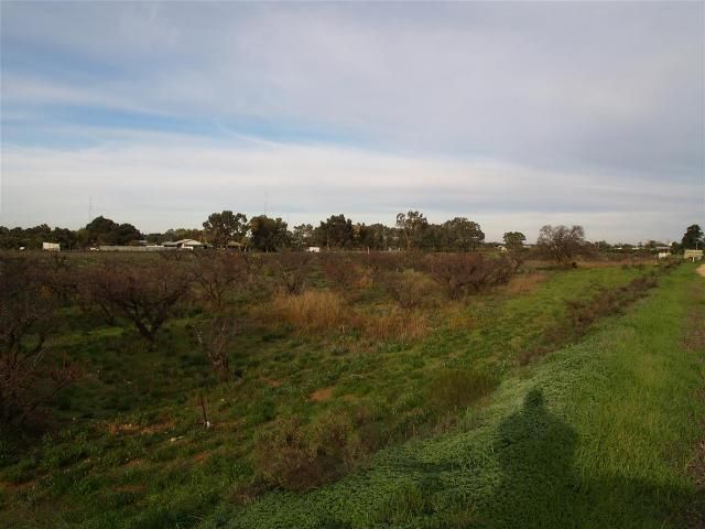 182 and 183 Checker Road, WAIKERIE, SA 5330