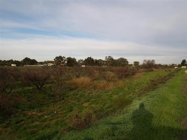 182 and 183 Checker Road, WAIKERIE, SA 5330