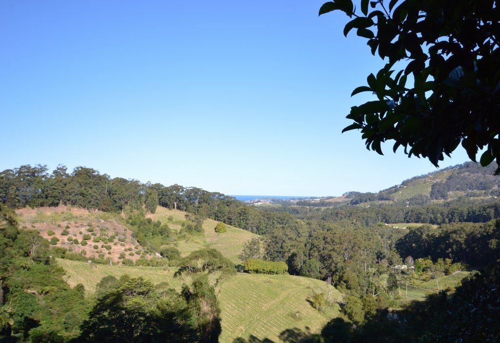 52 Lovetts Road, KORORA NSW 2450