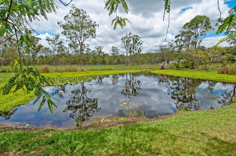26 Sungold Road, CHAMBERS FLAT, QLD 4133