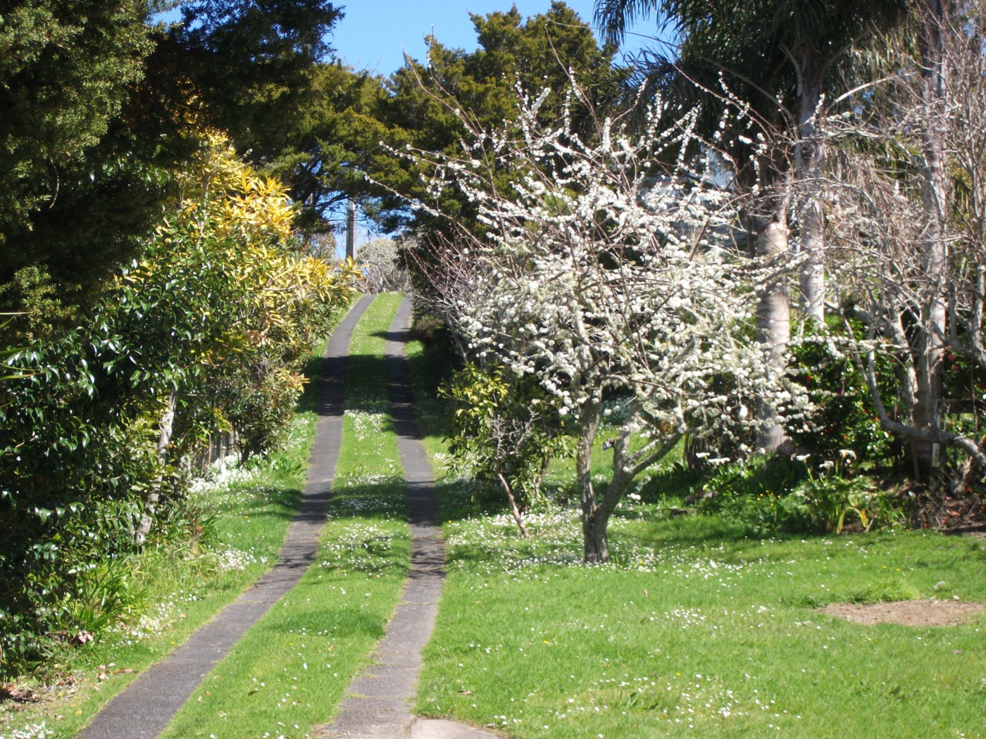 2 Monowai Street, WELLSFORD, Rodney