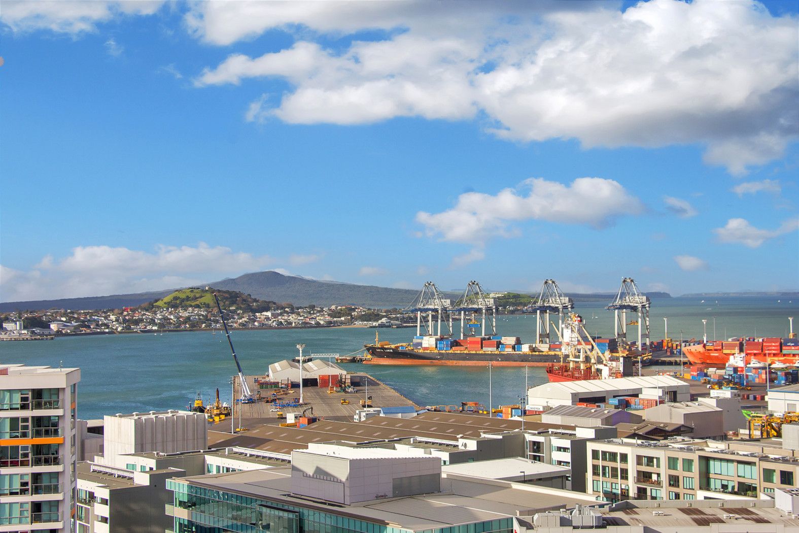 AUCKLAND CENTRAL, Auckland City
