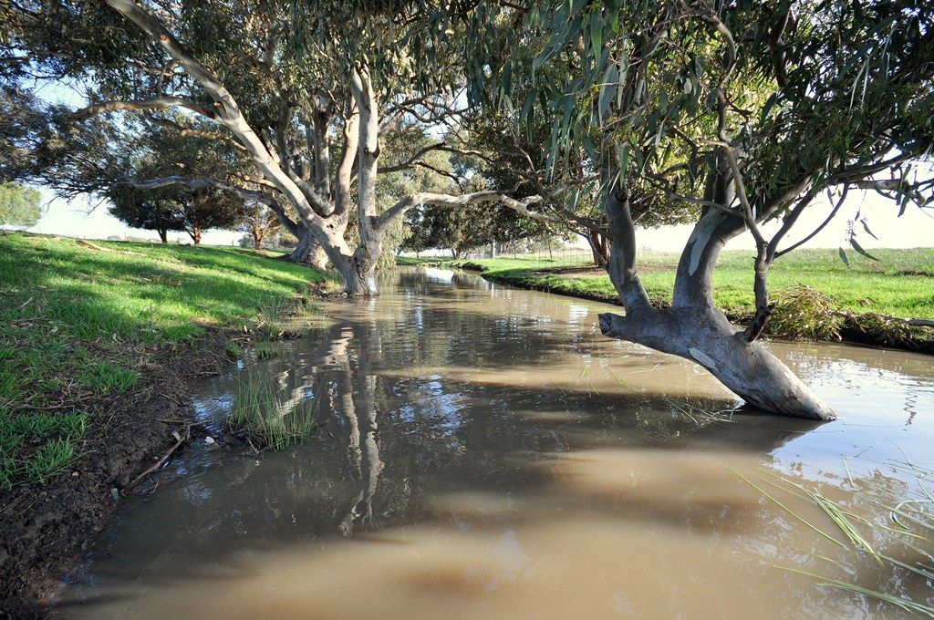 106 Dalys Road, ROKEWOOD, VIC 3330