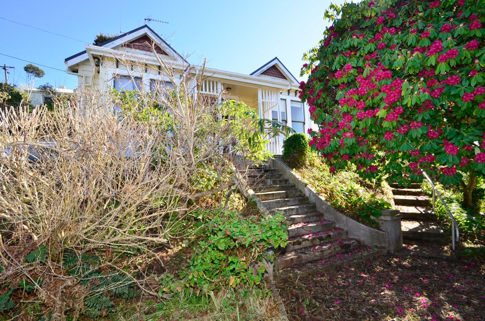 16 Glencairn Street, NORTH EAST VALLEY, Dunedin City