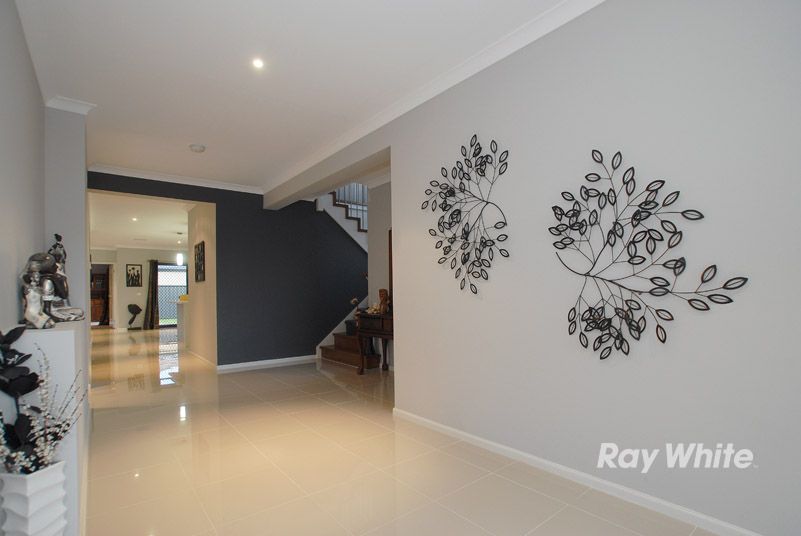 16 Palomino Avenue, CLYDE, VIC 3978