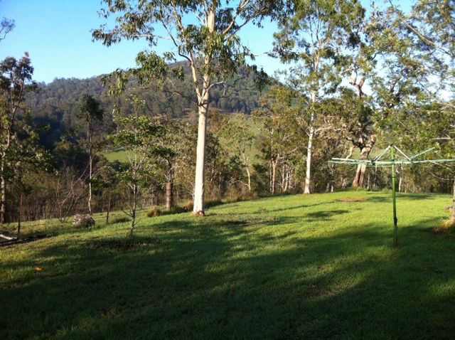 2103 Nowendoc Road, WINGHAM, NSW 2429