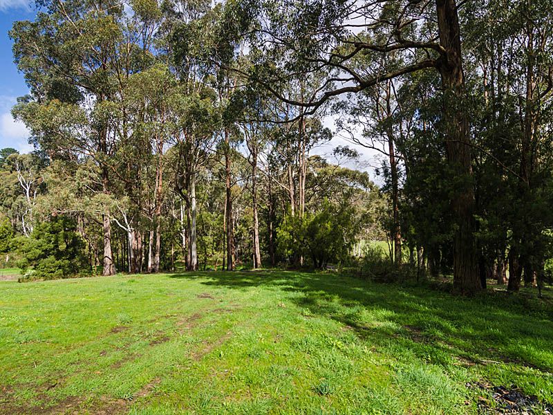 Section 374 Mount George Road, MOUNT GEORGE, SA 5155