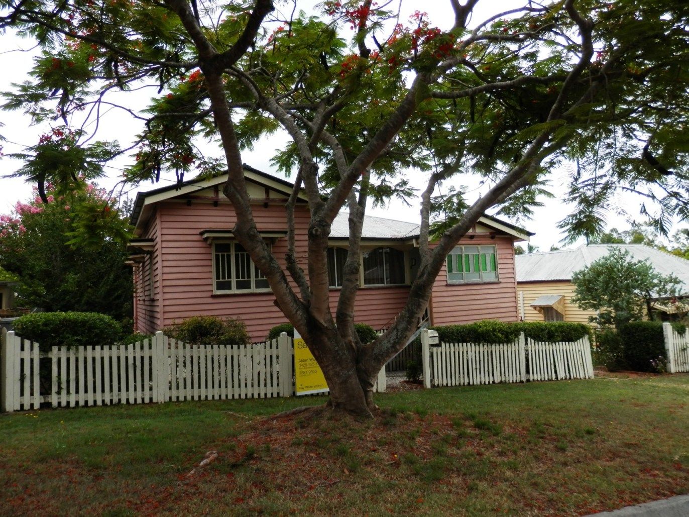19 Thomas Street, SADLIERS CROSSING QLD 4305