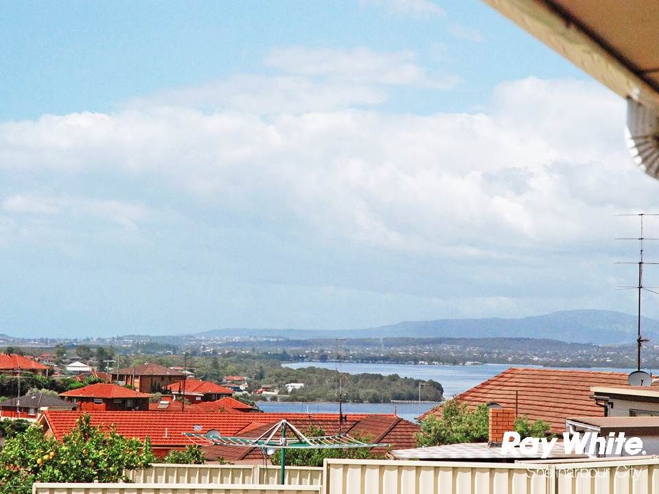 15 Minnegang Street, WARRAWONG NSW 2502