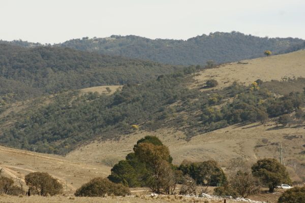 BOMBALA, NSW 2632