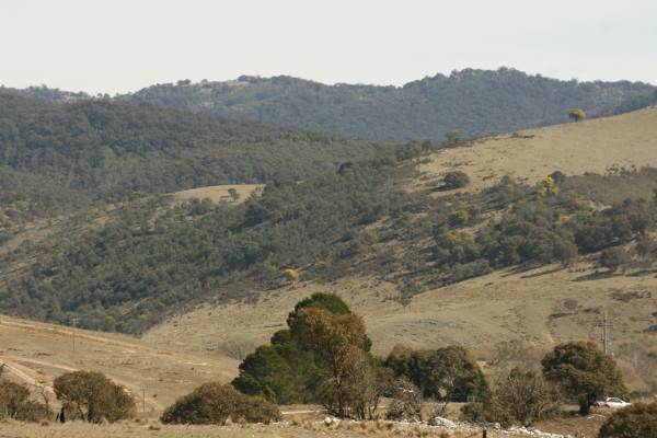 BOMBALA, NSW 2632