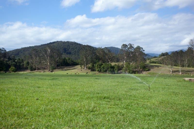 256 Warrawillah Road, MARLEE, NSW 2429