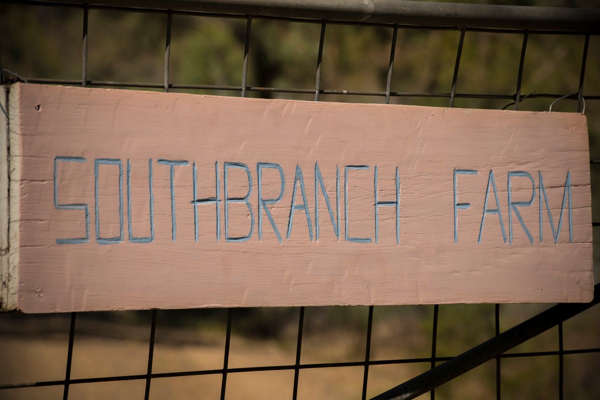 Southbranch Farm, MARYVALE, QLD 4370