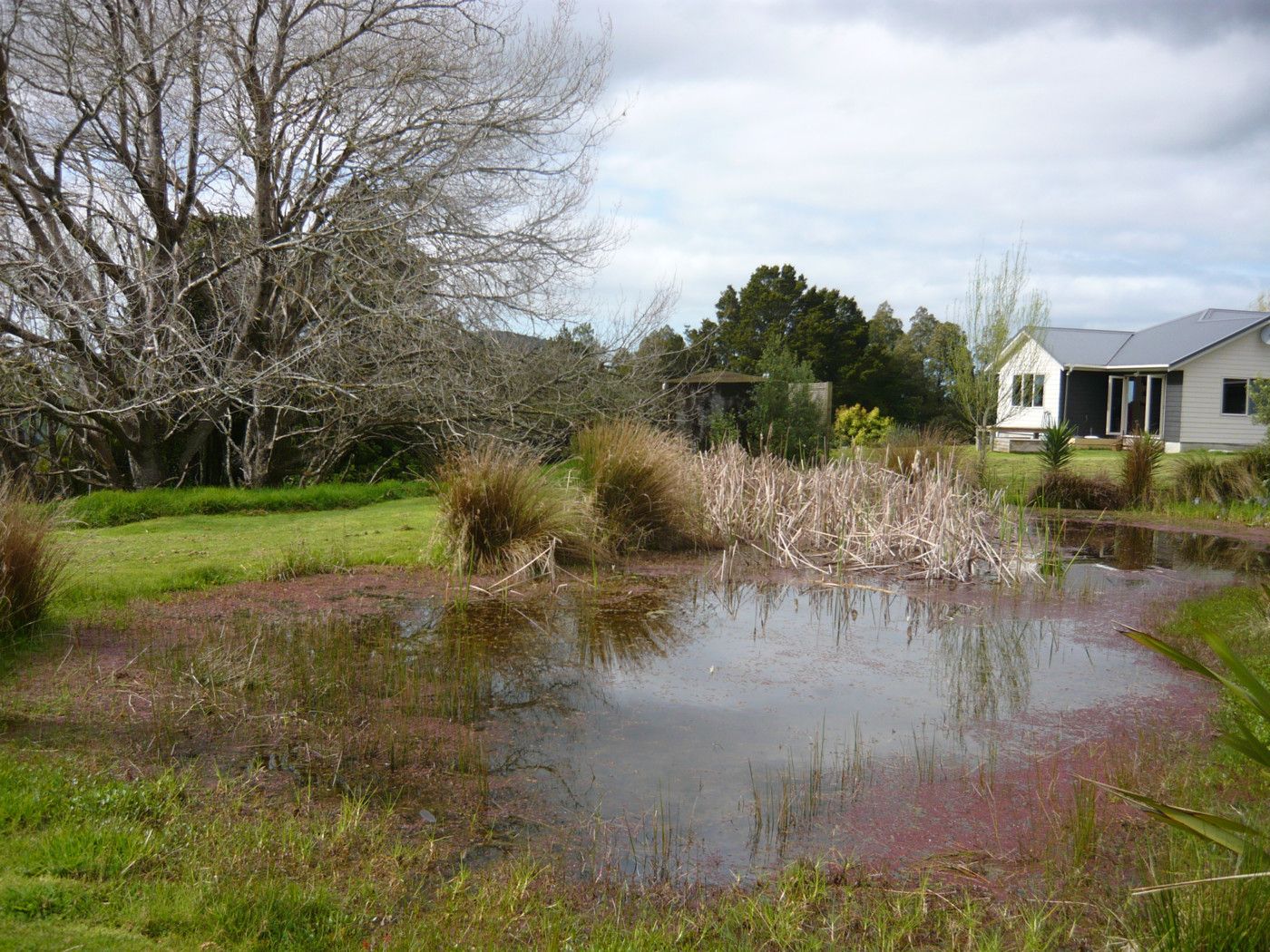 16 Nikau Lane, MAUNGATUROTO, Kaipara District