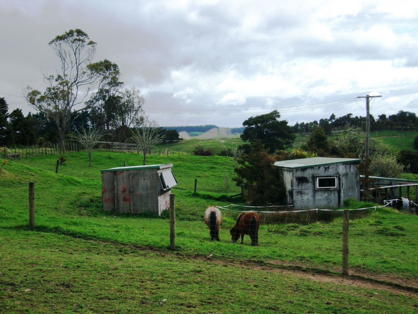 144 Franklin Road,, PAPAROA, Kaipara District