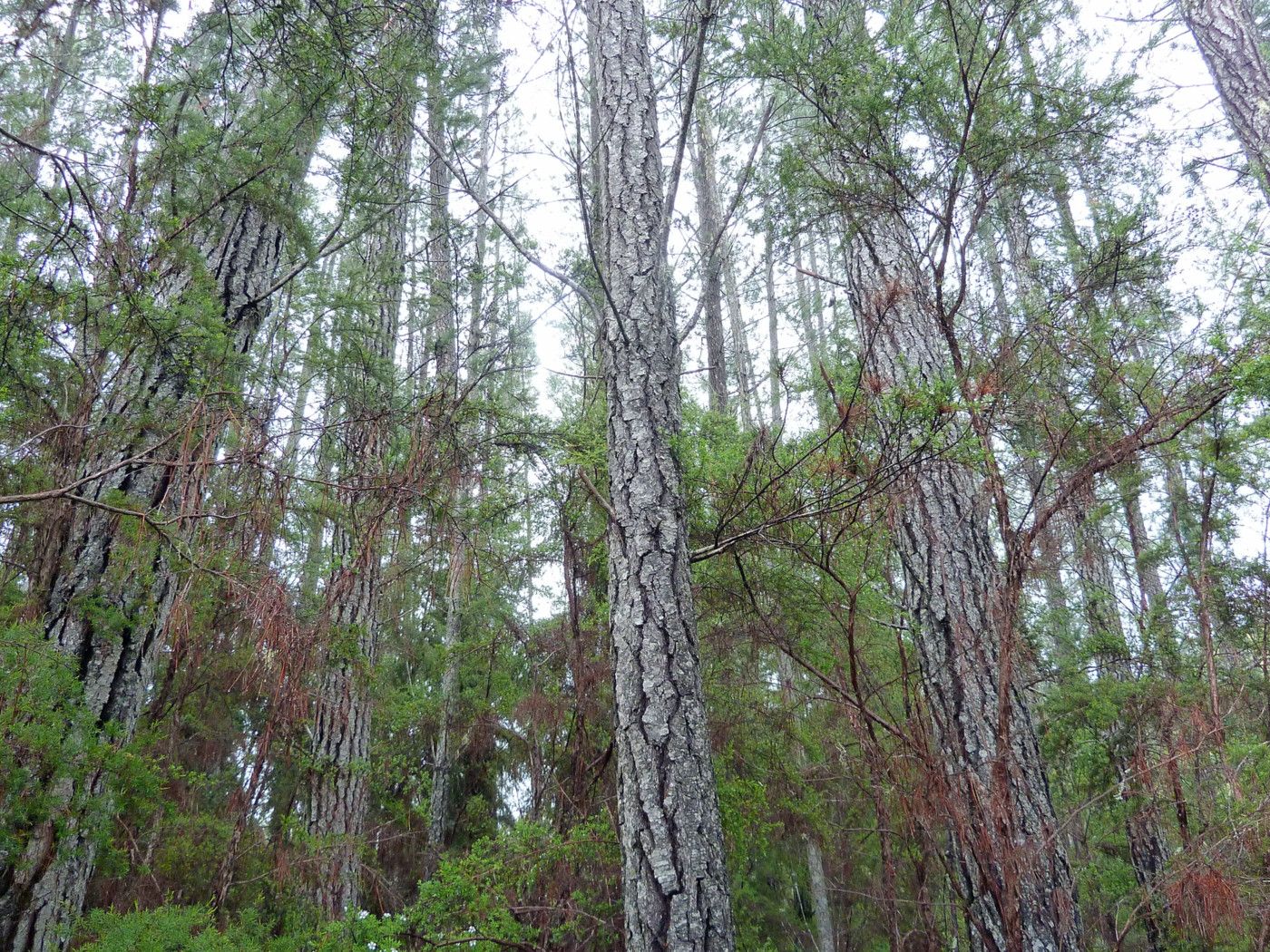 . Clarke Road, Tapawera, Tasman District