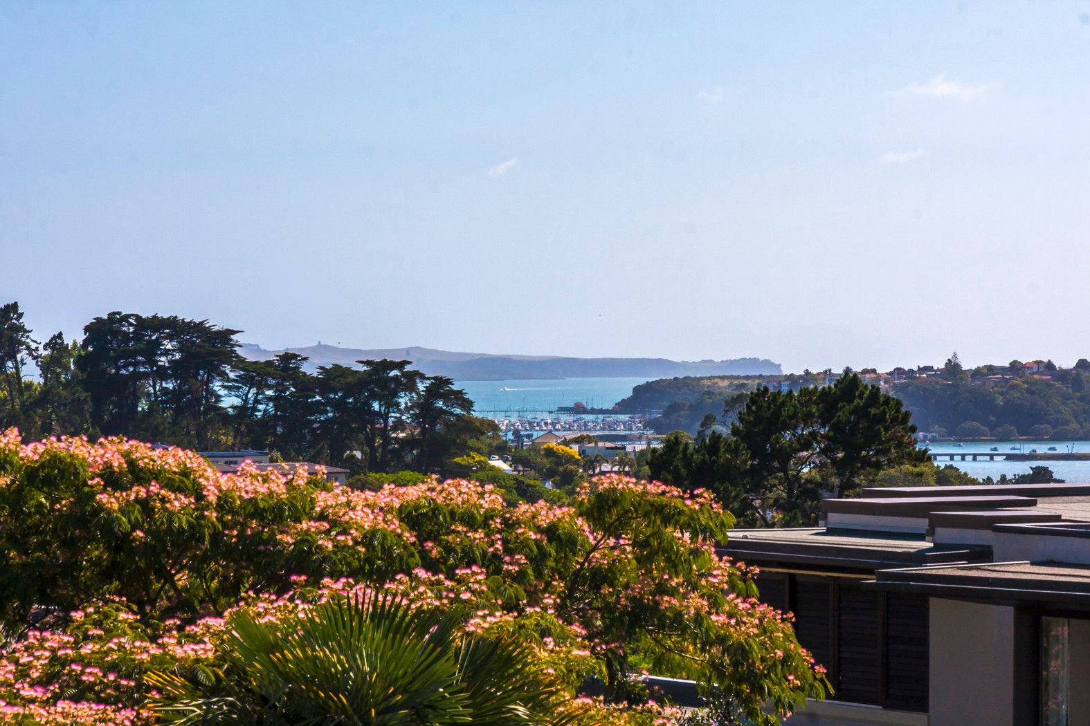 2A/5 Furneaux Way, Remuera, Auckland City