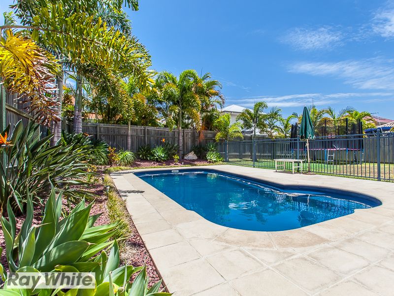 7 Allenby Close, NORTH LAKES, QLD 4509
