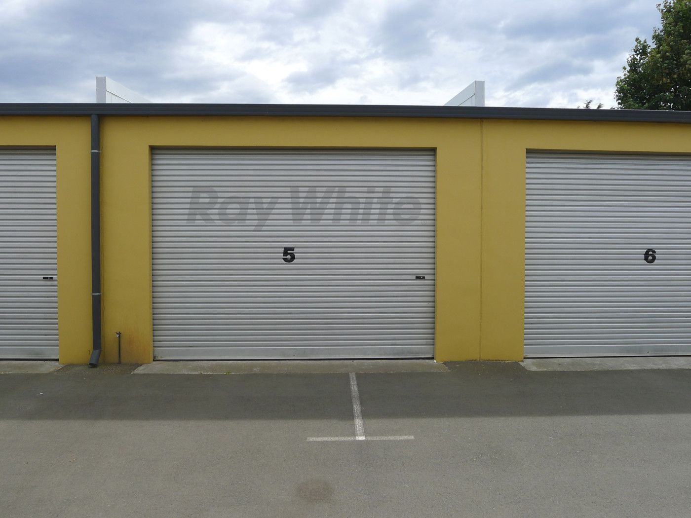 WALTHAM, Christchurch City