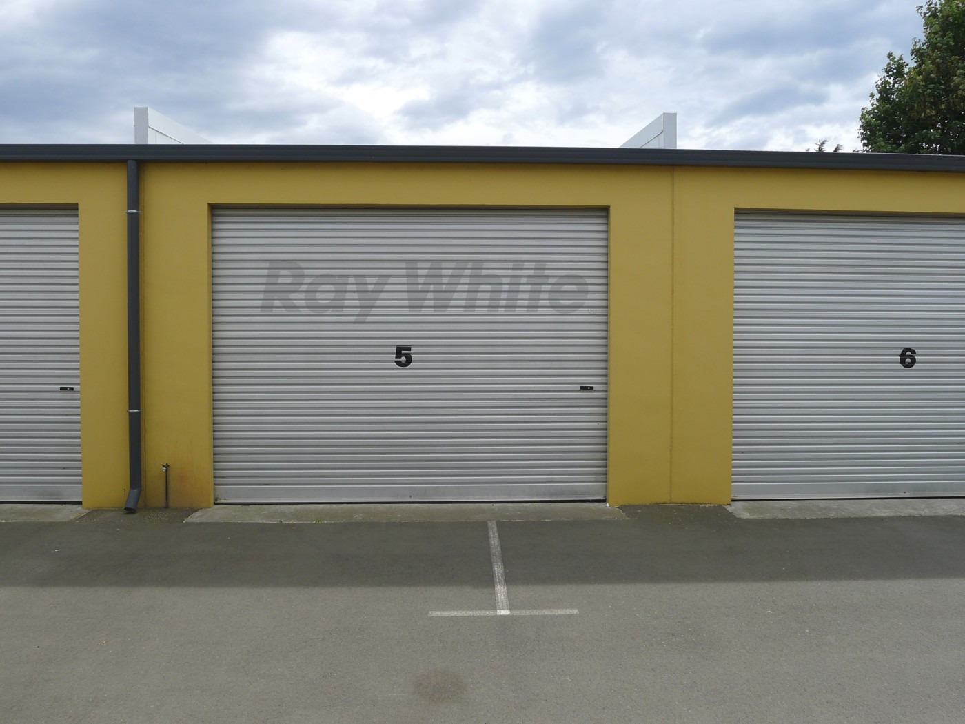 WALTHAM, Christchurch City